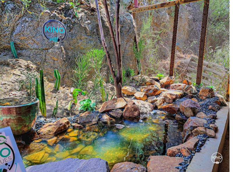 Cascada de rocas en estanque ecosistémico, proyecto KINO Estanques