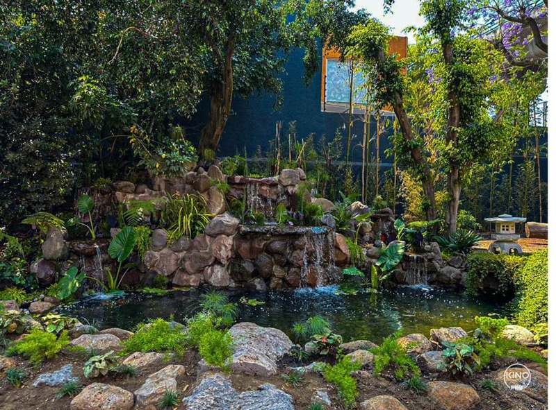 Estanque con zona desértica y suculentas, proyecto KINO Estanques